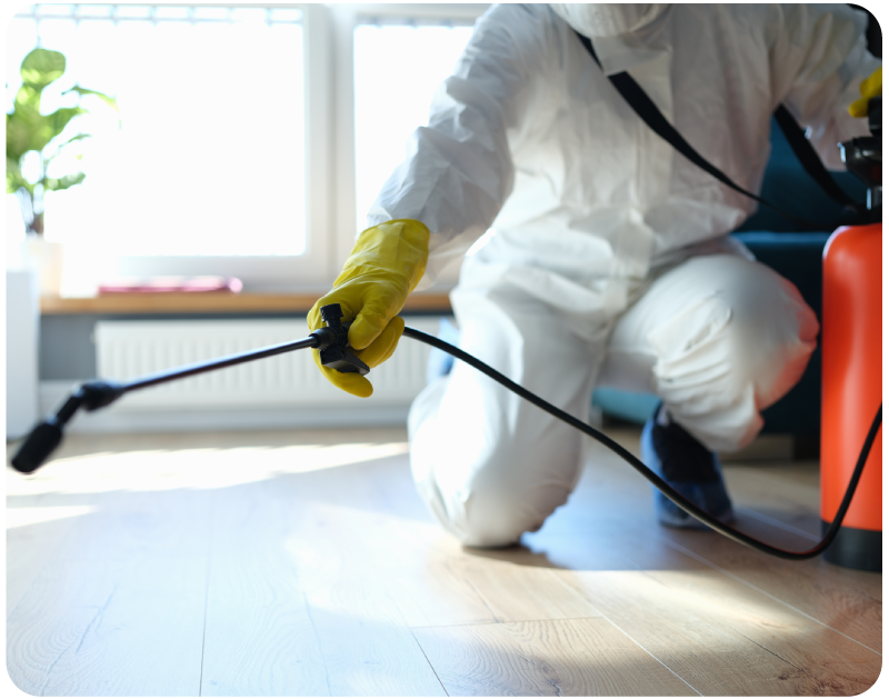 自社サイトを持たない優良業者にも出会える