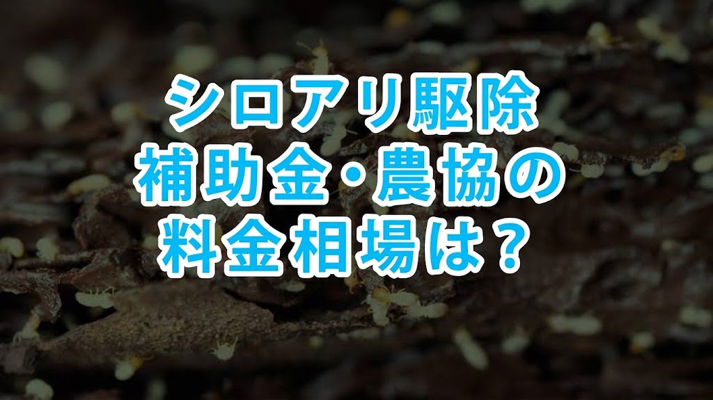 シロアリ駆除に補助金はあるの？農協の料金相場についても解説