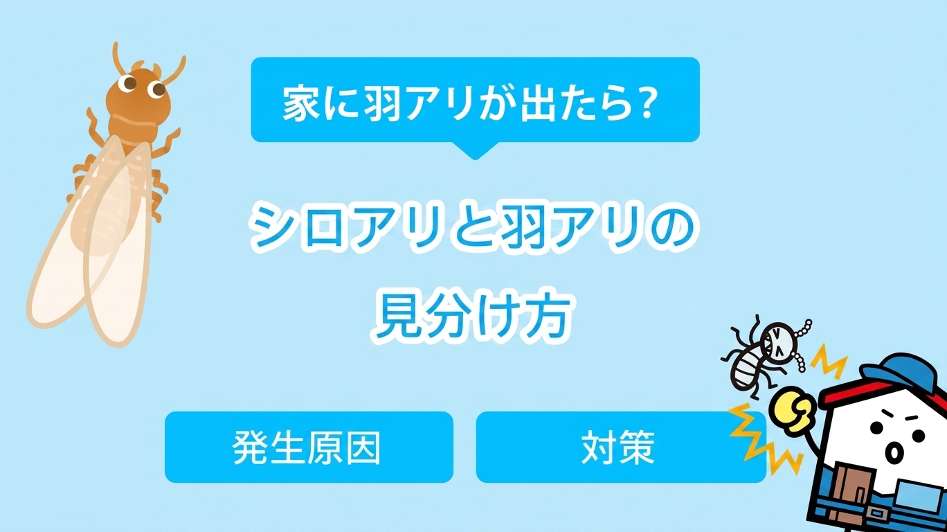シロアリと羽アリの見分け方【発生原因と対策】