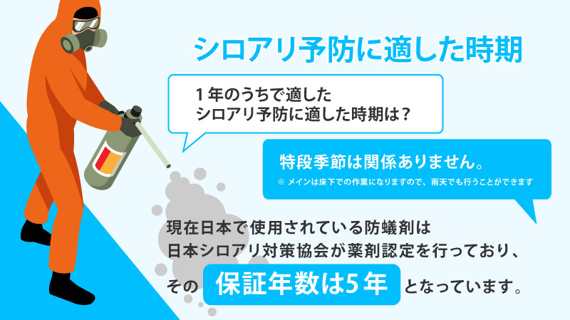 シロアリ予防に適した時期