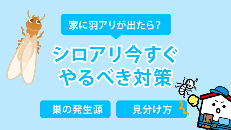家に羽アリが出たら？シロアリの見分け方・巣の発生原因と今すぐやるべき対策