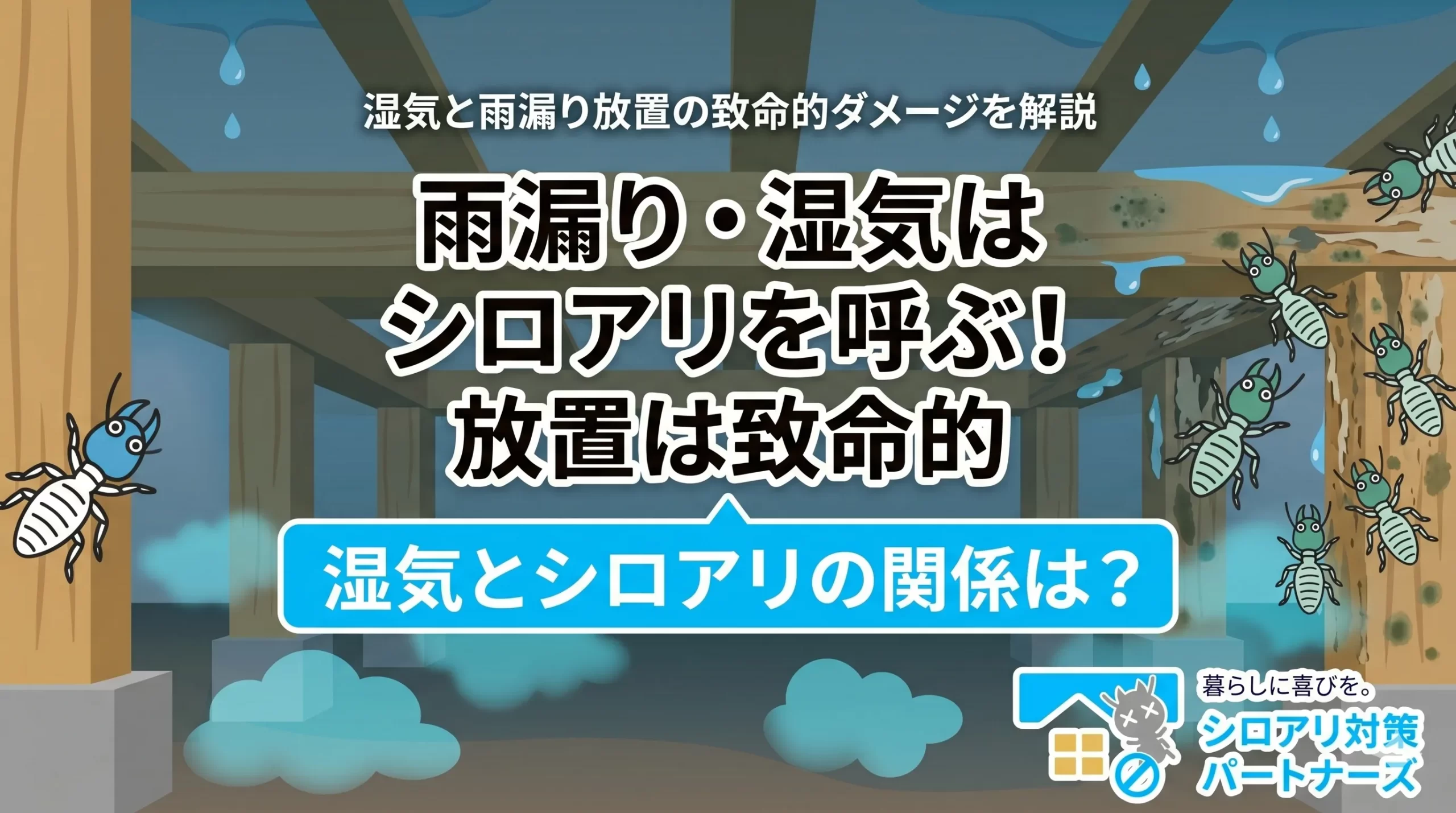 梅雨の湿気がシロアリを呼ぶ？雨漏り放置が招く致命的な家屋ダメージとは