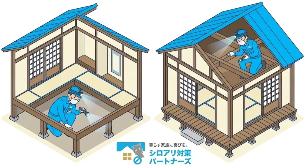 清潔感のある作業着を着た専門スタッフが、懐中電灯を持って床下や屋根裏を丁寧に点検している様子。安心感を与える雰囲気。
