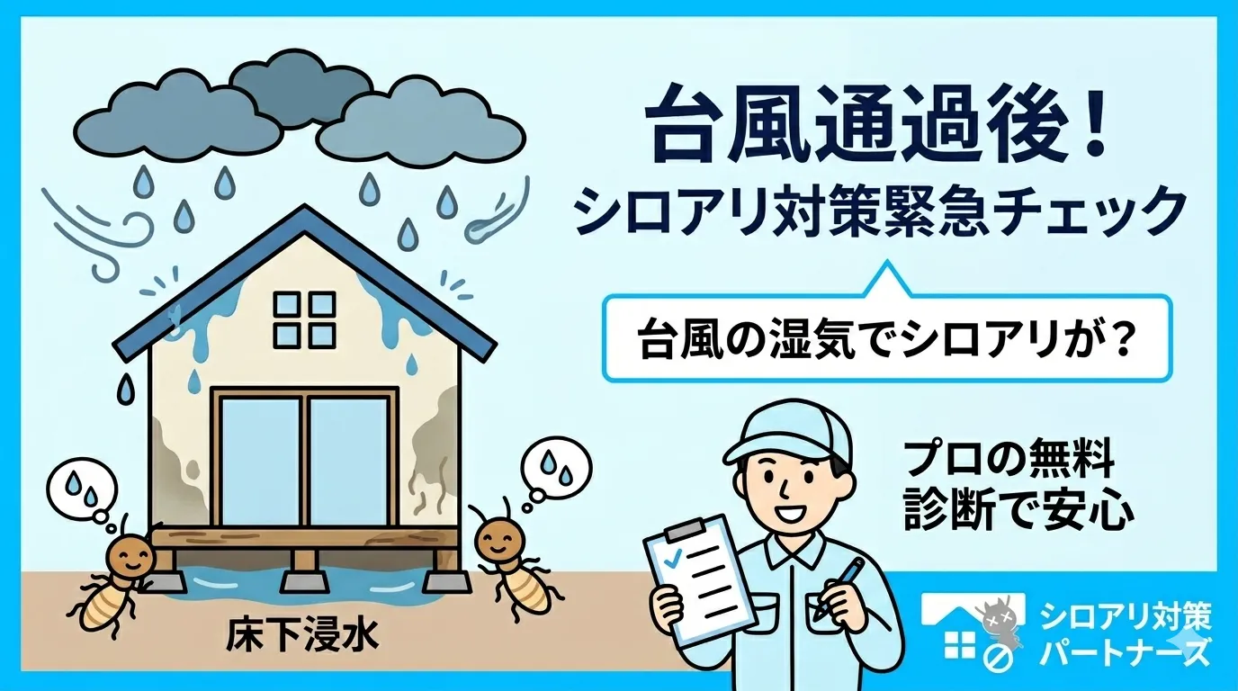 台風後の湿気がシロアリを呼ぶ？浸水・雨漏り対策と緊急チェックリスト
