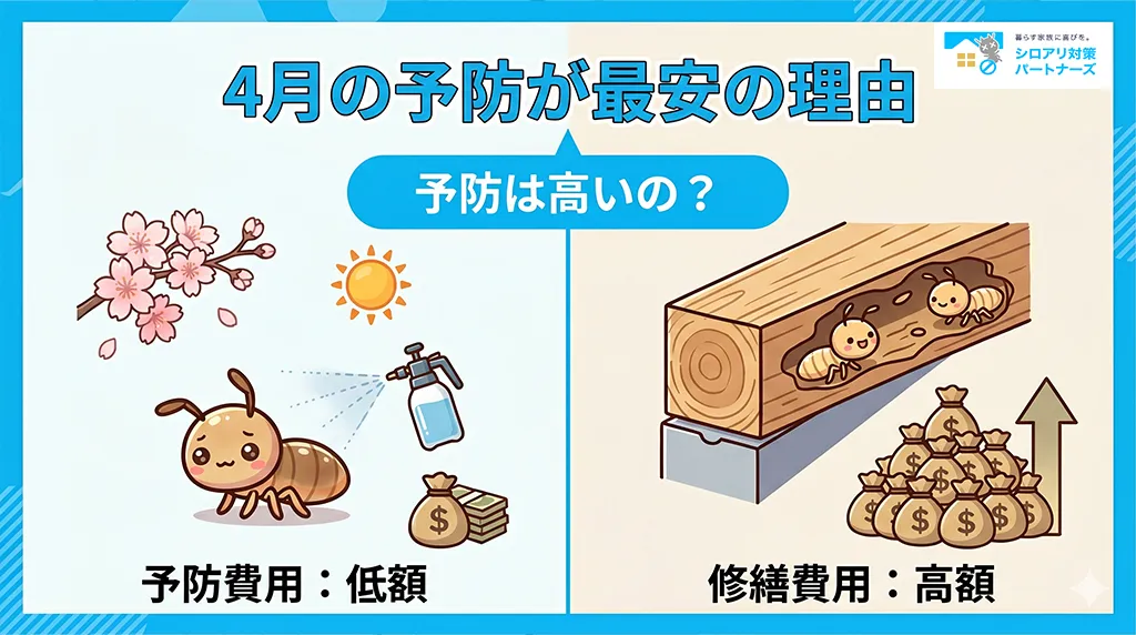 4月のシロアリ予防が最安と言い切れる理由！被害後の修繕費との驚愕の差とは